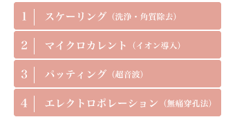 [ Ricel Sar ]リセルシュールトリートメント